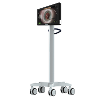 ARGOS 실시간 연동 DMM